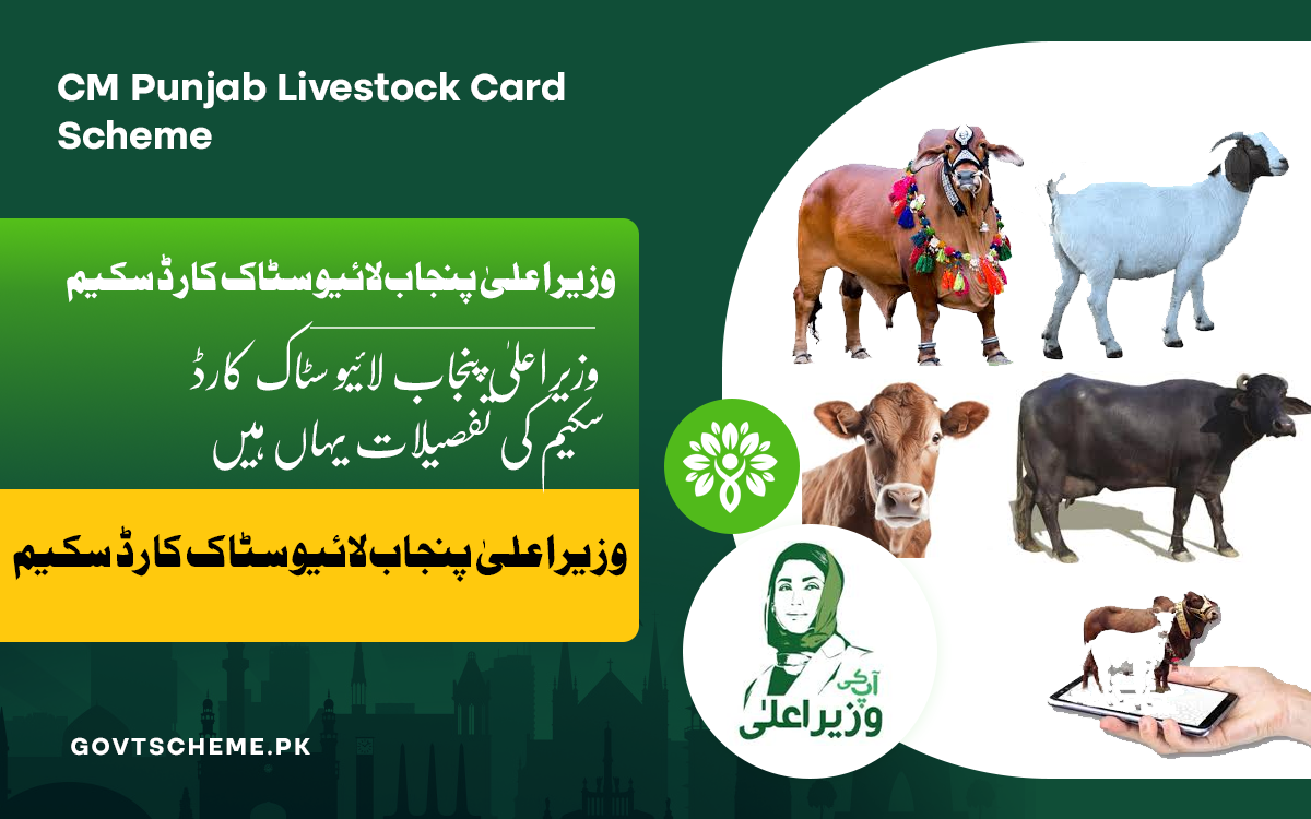 CM Punjab Livestock Card Scheme